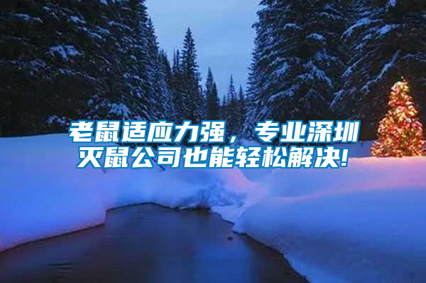 老鼠適應力強，專業(yè)深圳滅鼠公司也能輕松解決!