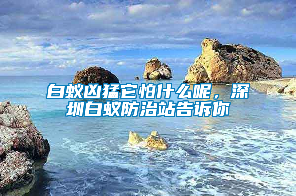 白蟻兇猛它怕什么呢，深圳白蟻防治站告訴你