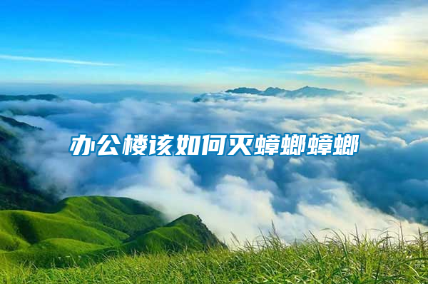 辦公樓該如何滅蟑螂蟑螂