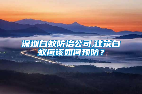 深圳白蟻防治公司,建筑白蟻應(yīng)該如何預(yù)防？