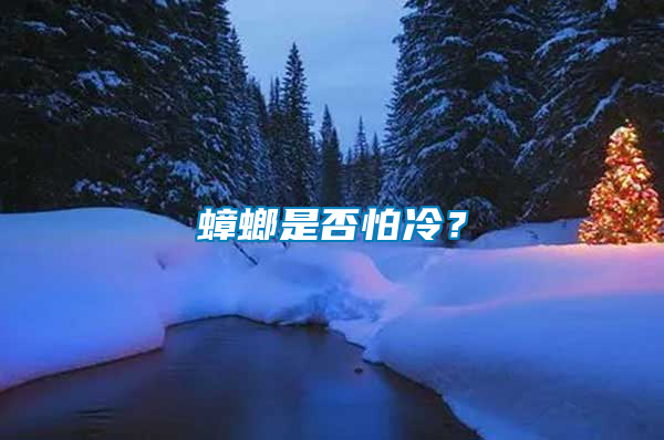 蟑螂是否怕冷？