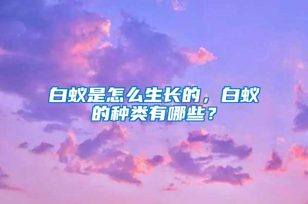 白蟻是怎么生長的，白蟻的種類有哪些？