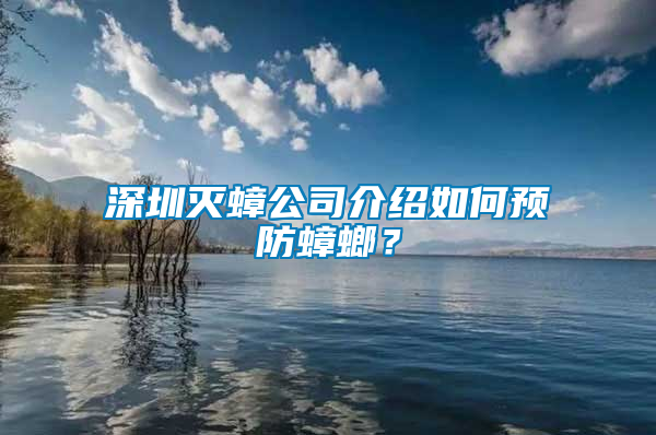 深圳滅蟑公司介紹如何預(yù)防蟑螂？