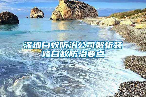 深圳白蟻防治公司解析裝修白蟻防治要點(diǎn)