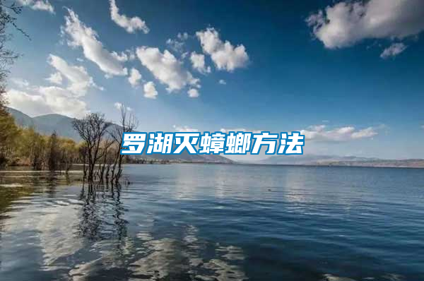 羅湖滅蟑螂方法