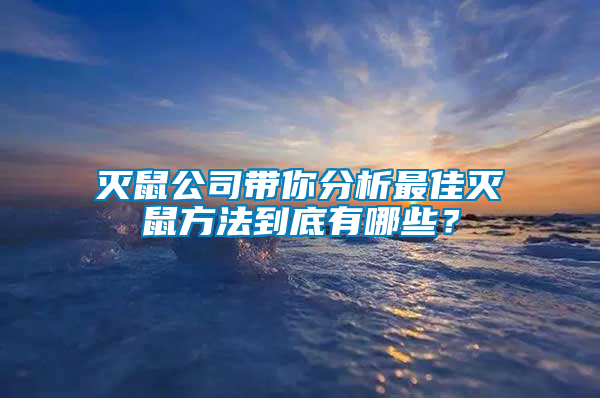 滅鼠公司帶你分析最佳滅鼠方法到底有哪些？