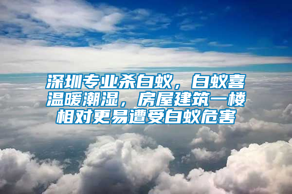 深圳專業(yè)殺白蟻，白蟻喜溫暖潮濕，房屋建筑一樓相對(duì)更易遭受白蟻危害