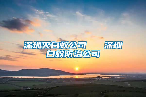 深圳滅白蟻公司   深圳白蟻防治公司