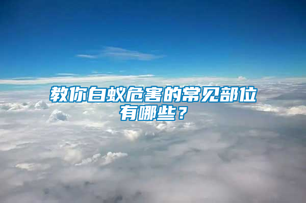 教你白蟻危害的常見(jiàn)部位有哪些？