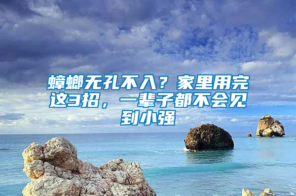 蟑螂無孔不入？家里用完這3招，一輩子都不會見到小強