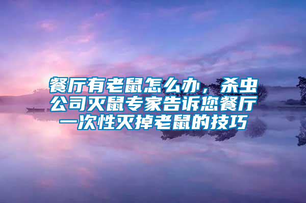 餐廳有老鼠怎么辦，殺蟲公司滅鼠專家告訴您餐廳一次性滅掉老鼠的技巧