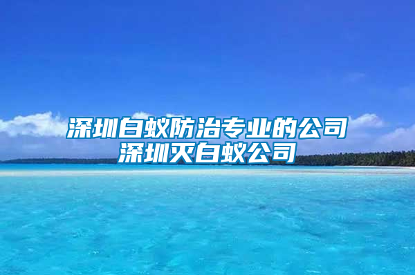 深圳白蟻防治專業(yè)的公司深圳滅白蟻公司