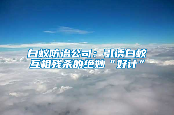 白蟻防治公司：引誘白蟻互相殘殺的絕妙“好計(jì)”