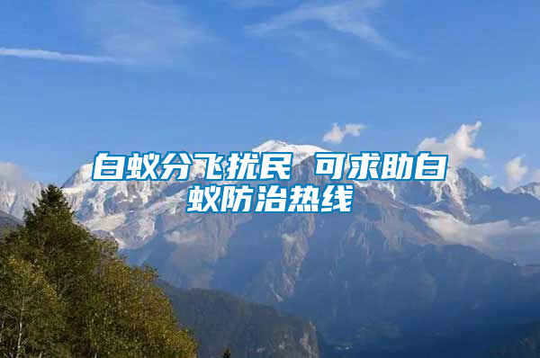 白蟻分飛擾民 可求助白蟻防治熱線