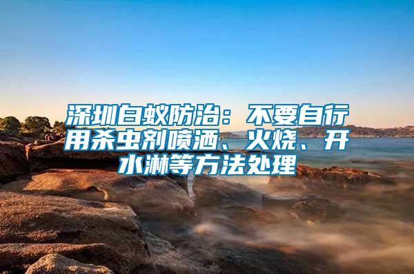 深圳白蟻防治：不要自行用殺蟲劑噴灑、火燒、開水淋等方法處理