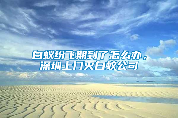 白蟻紛飛期到了怎么辦，深圳上門滅白蟻公司