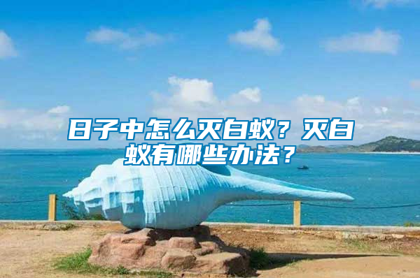 日子中怎么滅白蟻？滅白蟻有哪些辦法？