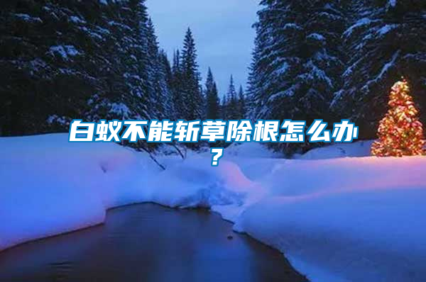 白蟻不能斬草除根怎么辦？