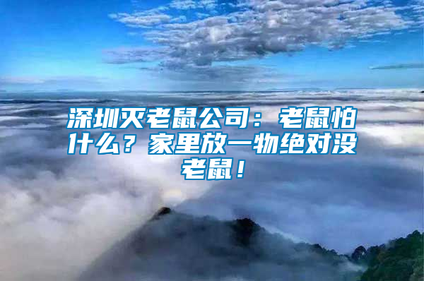 深圳滅老鼠公司：老鼠怕什么？家里放一物絕對沒老鼠！