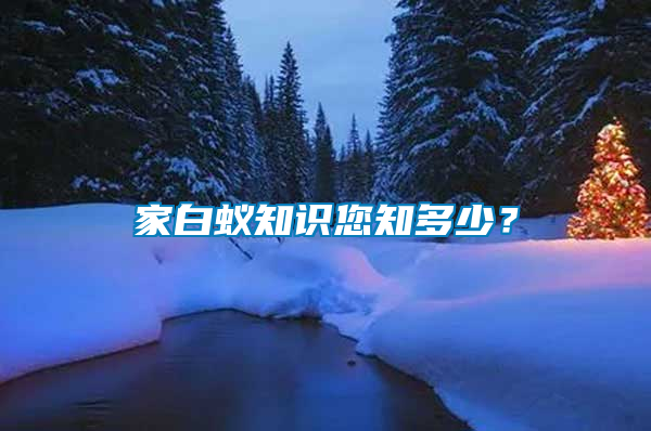 家白蟻知識您知多少？