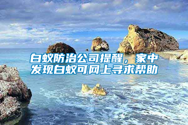 白蟻防治公司提醒，家中發(fā)現(xiàn)白蟻可網(wǎng)上尋求幫助