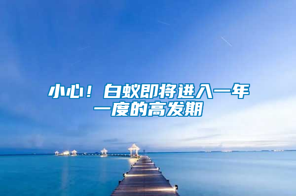 小心！白蟻即將進(jìn)入一年一度的高發(fā)期