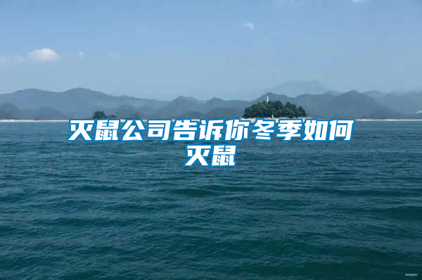 滅鼠公司告訴你冬季如何滅鼠