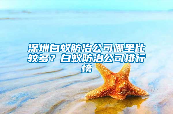 深圳白蟻防治公司哪里比較多？白蟻防治公司排行榜