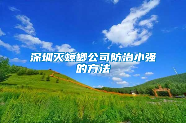 深圳滅蟑螂公司防治小強的方法