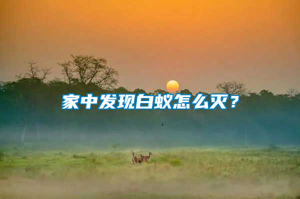 家中發(fā)現(xiàn)白蟻怎么滅？