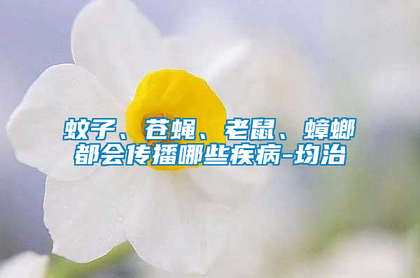 蚊子、蒼蠅、老鼠、蟑螂都會(huì)傳播哪些疾病-均治