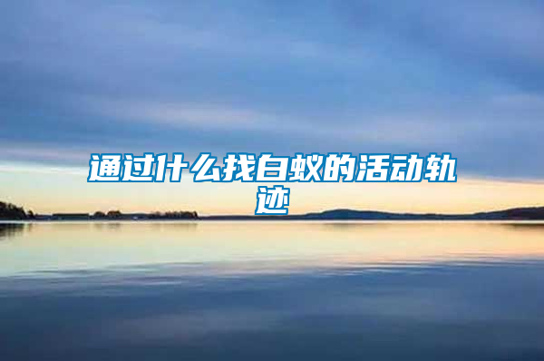 通過什么找白蟻的活動軌跡