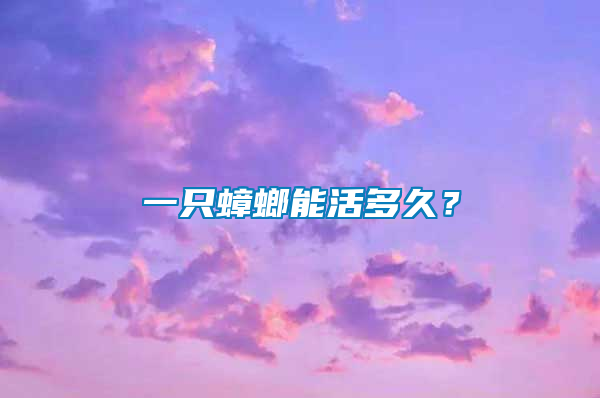 一只蟑螂能活多久？