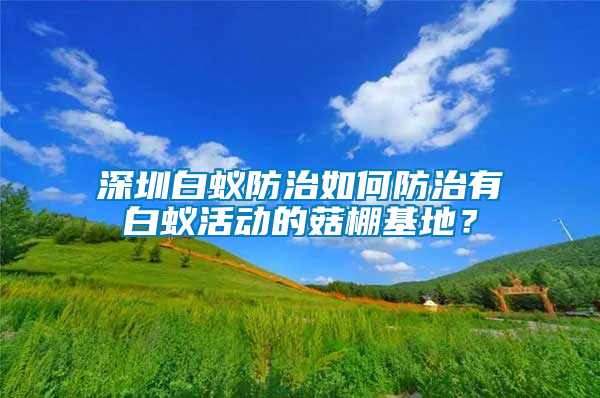 深圳白蟻防治如何防治有白蟻活動的菇棚基地？