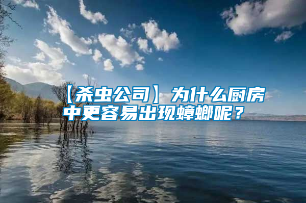 【殺蟲公司】為什么廚房中更容易出現(xiàn)蟑螂呢？