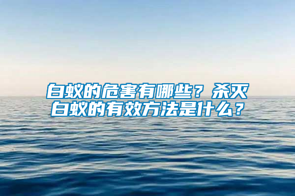 白蟻的危害有哪些？殺滅白蟻的有效方法是什么？