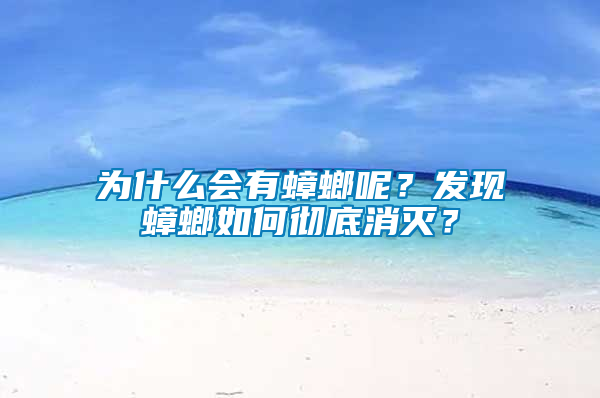 為什么會有蟑螂呢？發(fā)現(xiàn)蟑螂如何徹底消滅？