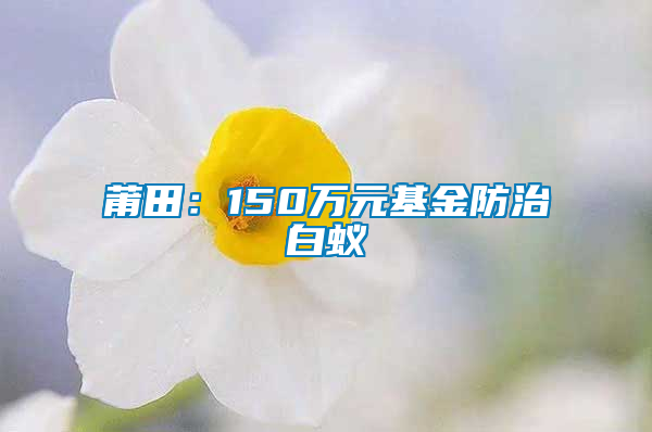 莆田：150萬(wàn)元基金防治白蟻